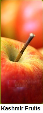 Kashmir Fruits